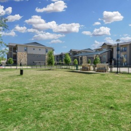 dog park with fence and toys
